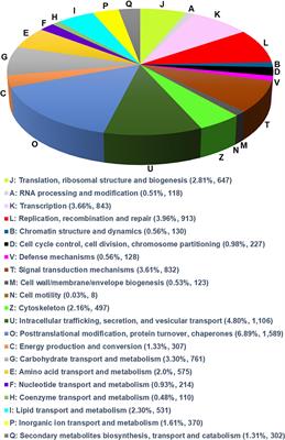 Differential Transcriptome Analysis Reveals Genes Related to Low- and High-Temperature Stress in the Fall Armyworm, Spodoptera frugiperda